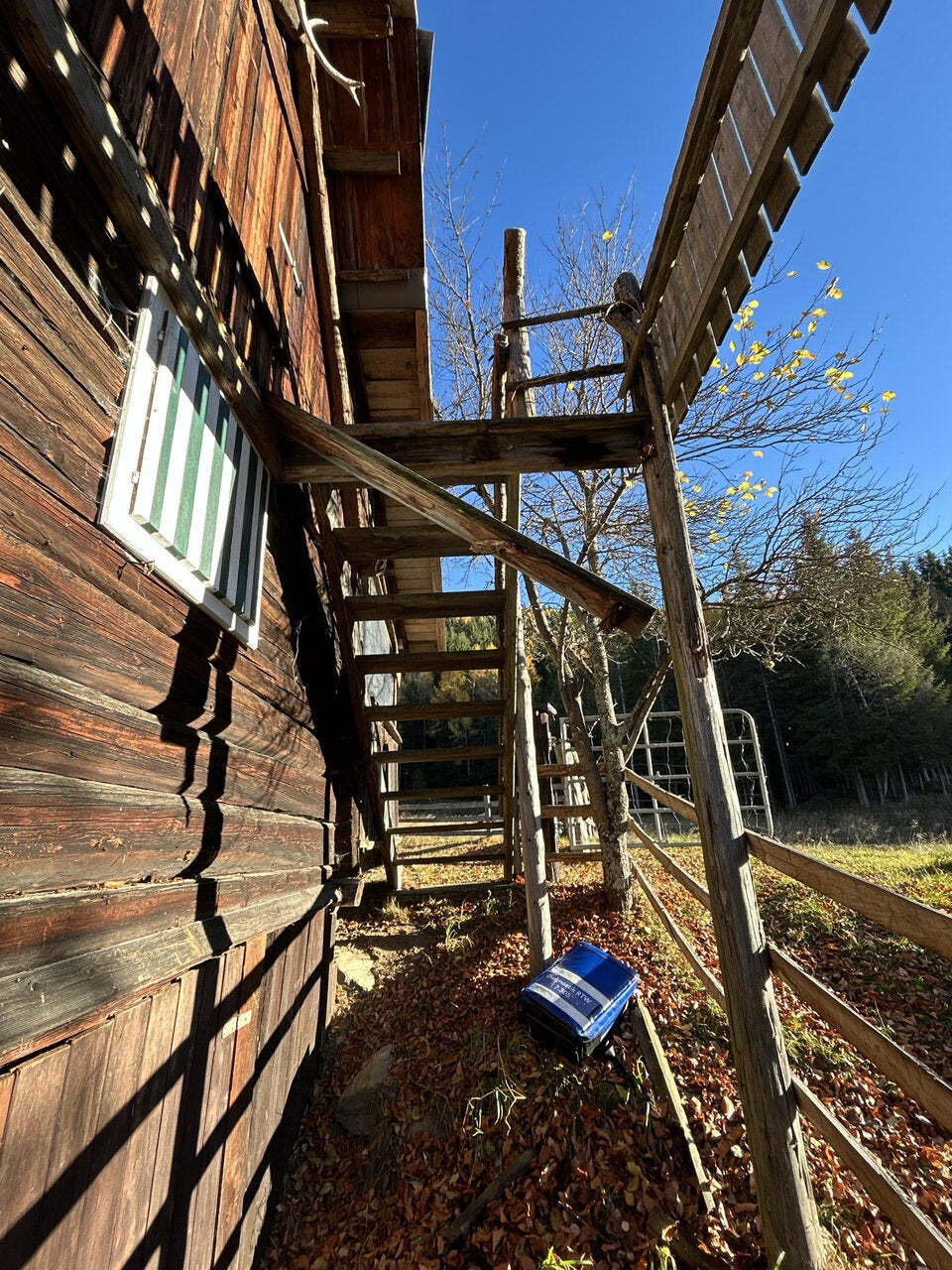 Zwei Frauen stürzten von Balkon