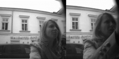 Das ist &Ouml;sterreichs gemeinste Diebin