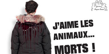 Brigitte Bardot-Schock mit Blut-Kampagne