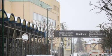 Bauchstich und Ohr halb  abgebissen