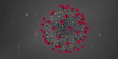 Studie: Totimpstoff wirkt nicht gegen Omikron