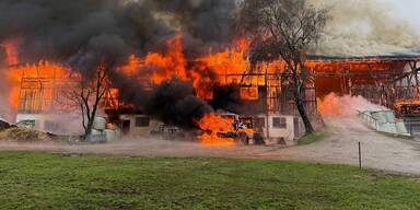 An die zehn K&uuml;he bei Bauernhofbrand in Tirol verendet
