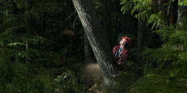 Baum f&auml;llen