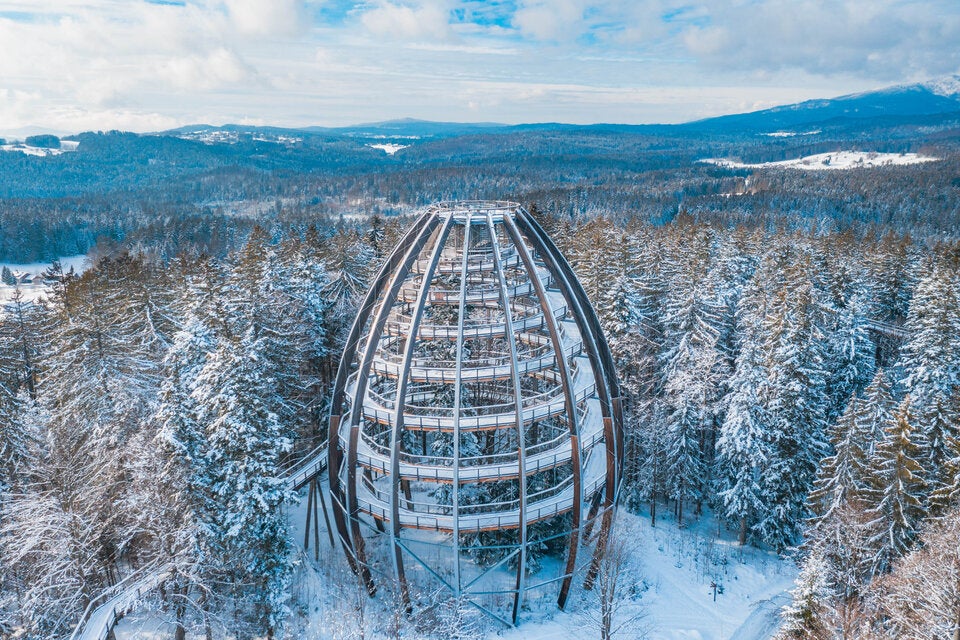 Baumwipfelpfad. Der 1.300 Meter lange Weg gewährt besondere Einblicke in 8 bis 25 Metern Höhe in die Natur.