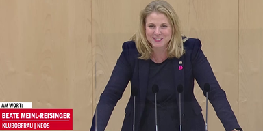 Beate Meinl-Reisinger