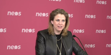 Beate Meinl-Reisinger