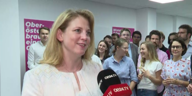 Beate Meinl-Reisinger