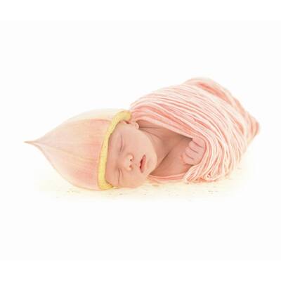 'Der Zauber des Lebens'