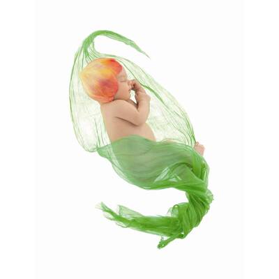 'Der Zauber des Lebens'