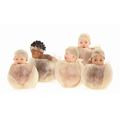 'Der Zauber des Lebens'