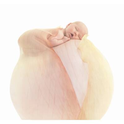 'Der Zauber des Lebens'