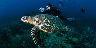 Belize - Lighthouse Reef Atoll