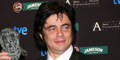 Benicio del Toro