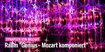 Mythos Mozart hautnah erleben