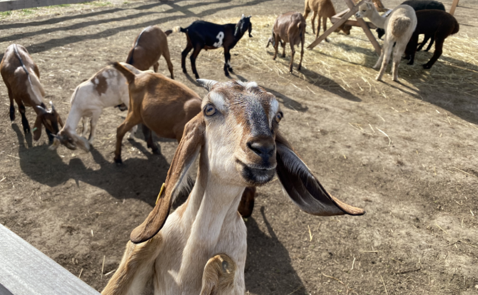 Familycity - ein Paradies für Familien