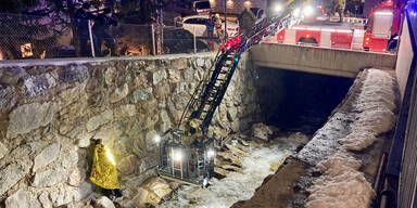 aus rettenbach gerettet