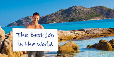 Sie kämpfen um den besten Job der Welt
