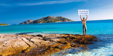 Sie kämpfen um den besten Job der Welt