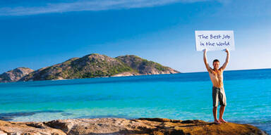 Sie kämpfen um den besten Job der Welt