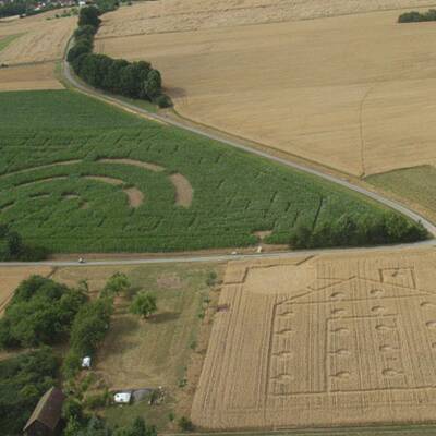 Ein Bett im Kornfeld