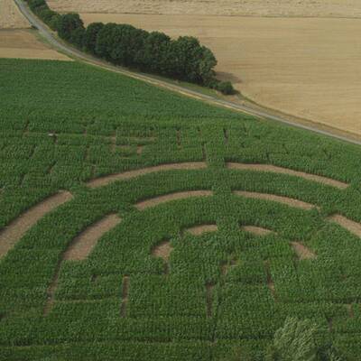 Ein Bett im Kornfeld