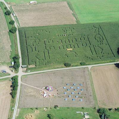 Ein Bett im Kornfeld