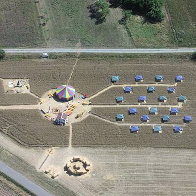 Ein Bett im Kornfeld