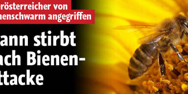 Bienen stechen Pensionisten tot