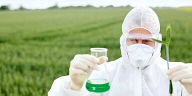 10 Tonnen Gift gegen unsere Bienen