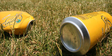 Einbrecher erbeutete in Wien Bierdosen