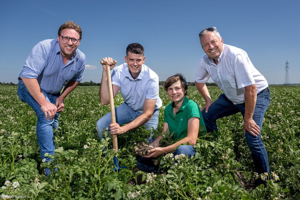 (v.l.n.r.): Michael Buxbaum (Geschäftsführer der Niederösterreichischen Saatbaugenossenschaft NÖS), Benjamin Einfalt (BILLA Einkäufer), Susanne Kirchmaier (Züchterin bei NÖS) und Johann Regner (REWE Bereichsleiter Obst und Gemüse) freuen sich über die neue „Da komm‘ ich her!“-Erdäpfelsorte „Benjamin“.