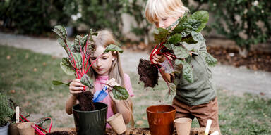 SPAR-Vielfaltspreis 2025/2026: Volksschulen &uuml;berzeugen mit kreativen Projekten f&uuml;r Biodiversit&auml;t