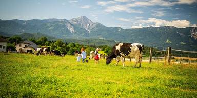 Beim Bio-Milchviehbetrieb von Familie Borchardt haben die K&uuml;he ganzj&auml;hrig Auslauf und d&uuml;rfen auf den Wiesen die Vielfalt der Gr&auml;ser und Kr&auml;uter genie&szlig;en.