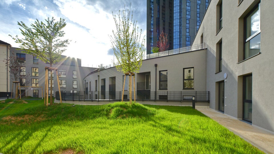 Begrünte Dachterrasse