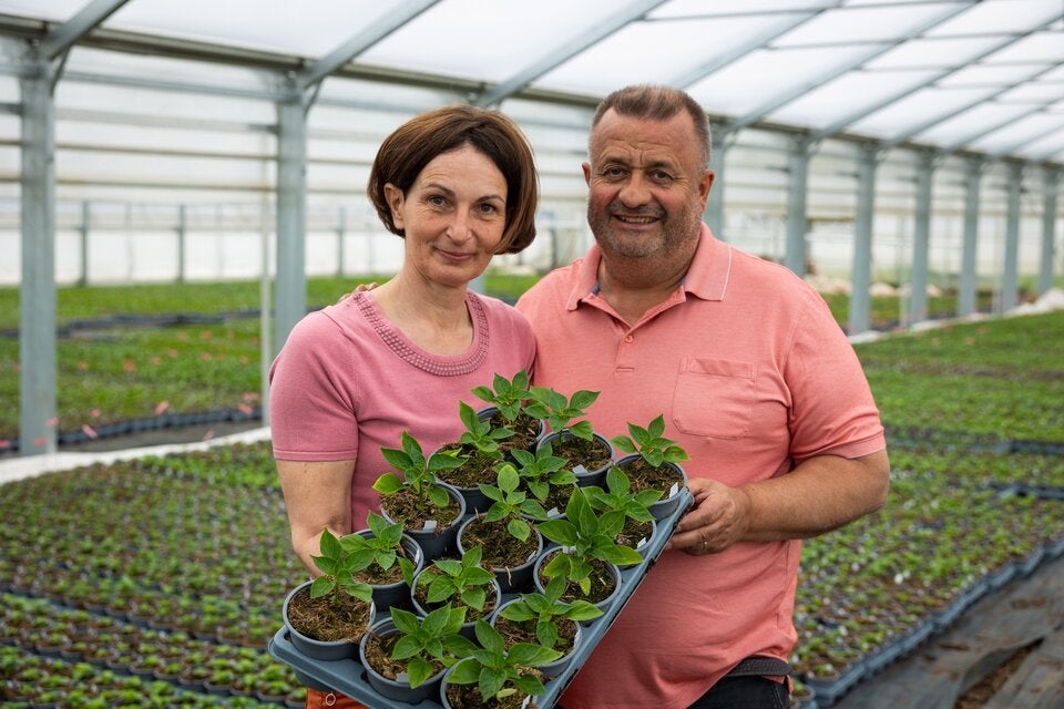 Priska und Erich Stekovics kultivieren im Burgenland zahlreiche Paradeiser-, Chili- und Paprikasorten für mehr Vielfalt im SPAR-Sortiment.