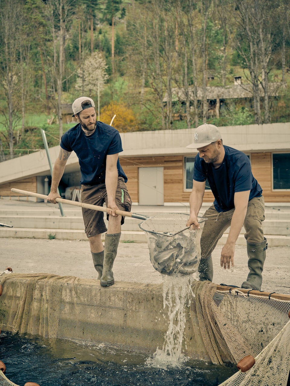 Die Fischzucht Oberwasser vereint alle Schritte auf einem Gelände, von der behutsamen Aufzucht über die Haltung bis zur Verarbeitung.