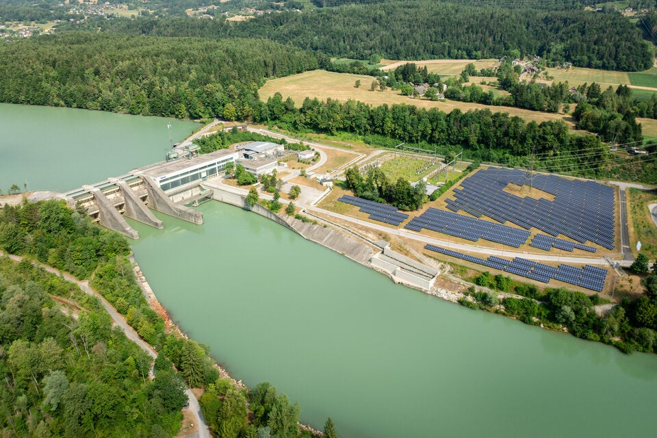 So gut vertragen sich Schafe und Sonnenstrom