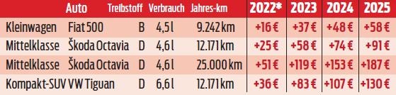 Öko-Steuer: So teuer wird Autofahren