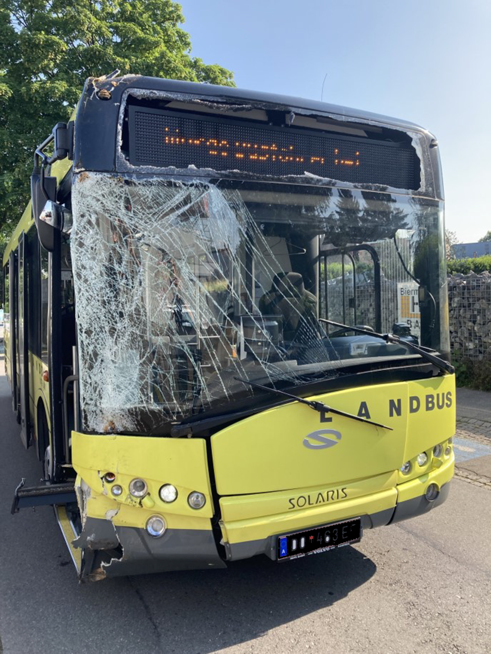 Linienbus mit Schulklasse crasht in Baum: Neun Verletzte