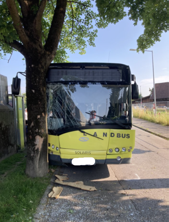 Linienbus mit Schulklasse crasht in Baum: Neun Verletzte