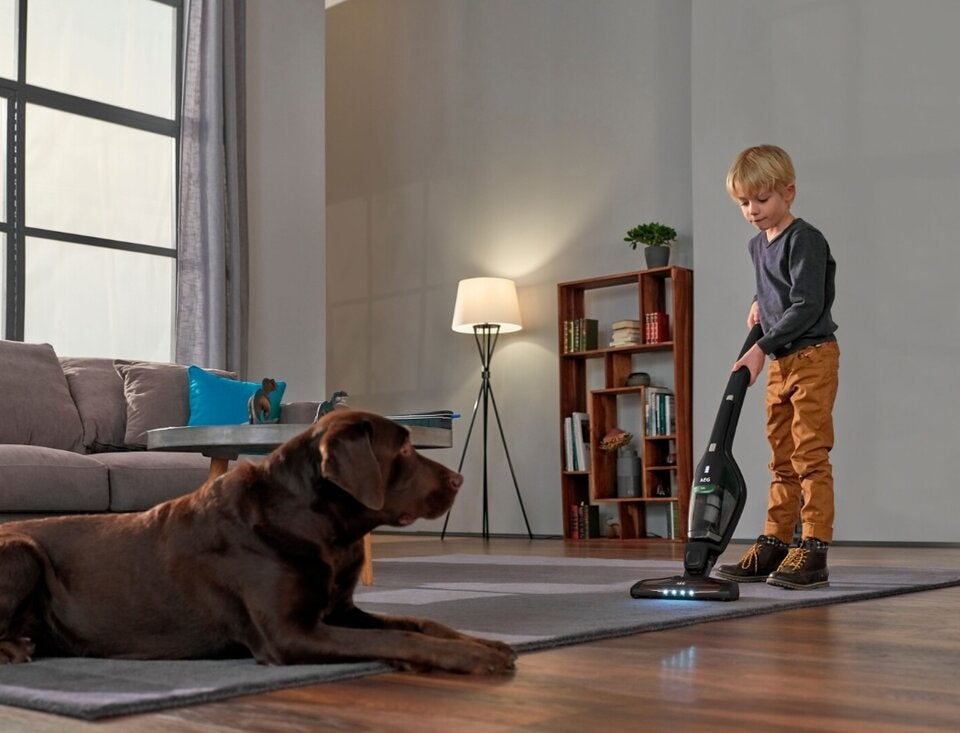 AEG CX7-2-45MÖ&nbsp;