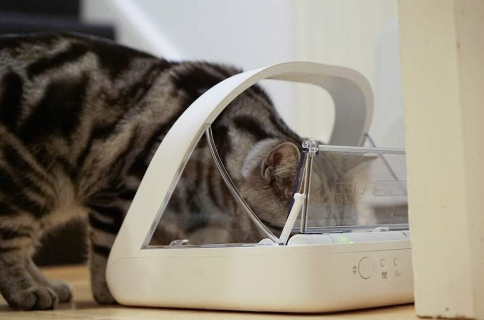 SureFeed Sure Petcare Mikrochip-Futterautomat für Haustiere, mit dichtem Deckelverschluss, kompatibel mit RFID-Halsbandanhänger, geeignet für Nass- und Trockenfutter 