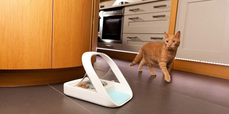 SureFeed Sure Petcare Mikrochip-Futterautomat für Haustiere, mit dichtem Deckelverschluss, kompatibel mit RFID-Halsbandanhänger, geeignet für Nass- und Trockenfutter 