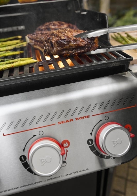 Weber Spirit EP-425 with Stand 