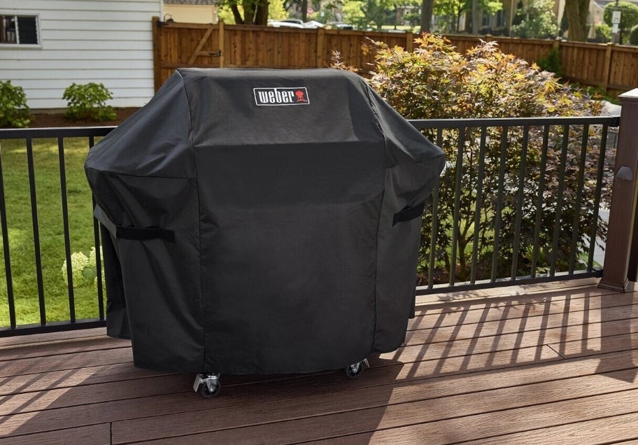 Weber Spirit EP-425 with Stand 