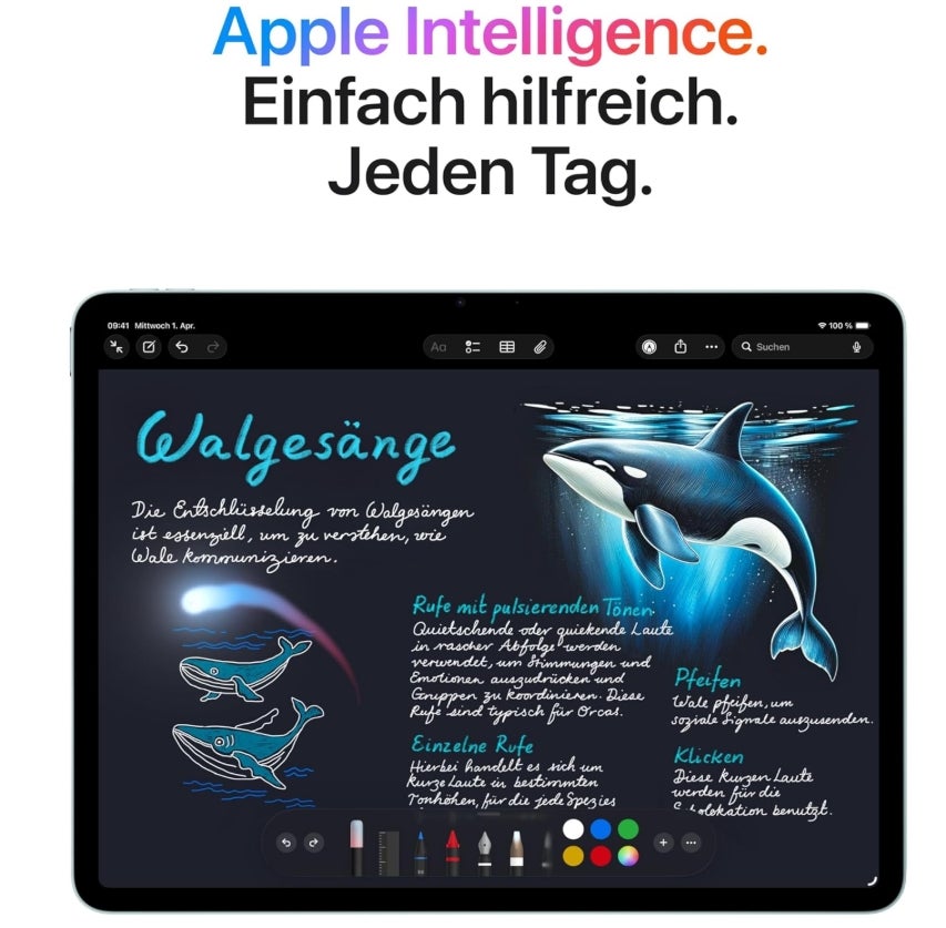 Apple 11