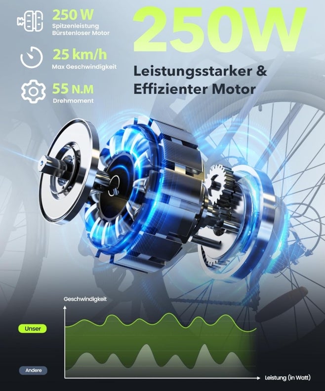 Finbike E Bike für Erwachsene 250W, 14