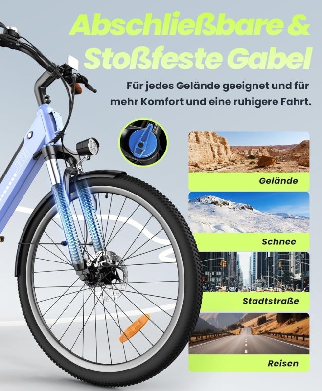 Finbike E Bike für Erwachsene 250W, 14