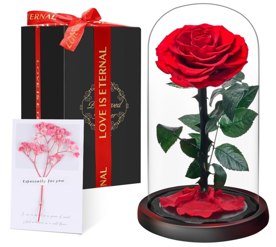Valentinstag Premium Ewige Rose im Glas mit Geschenkbox 