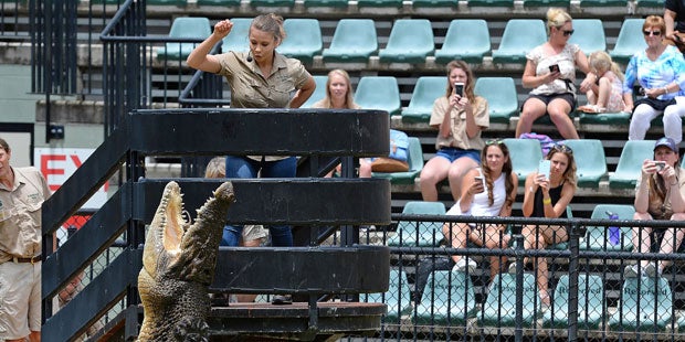 So sexy ist die Tochter des legendären Steve Irwin heute